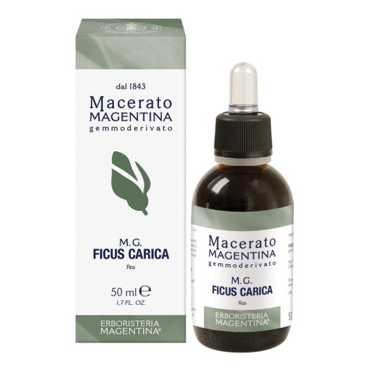 FICUS CARICA MACERATO MAGE50ML FICUS CARICA MACERATO MAGE50ML