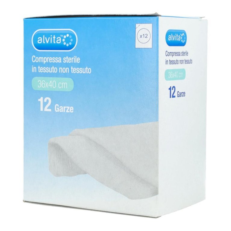 ALVITA GARZA TNT 36X40CM 12PZ ALVITA GARZA TNT 36X40CM 12PZ