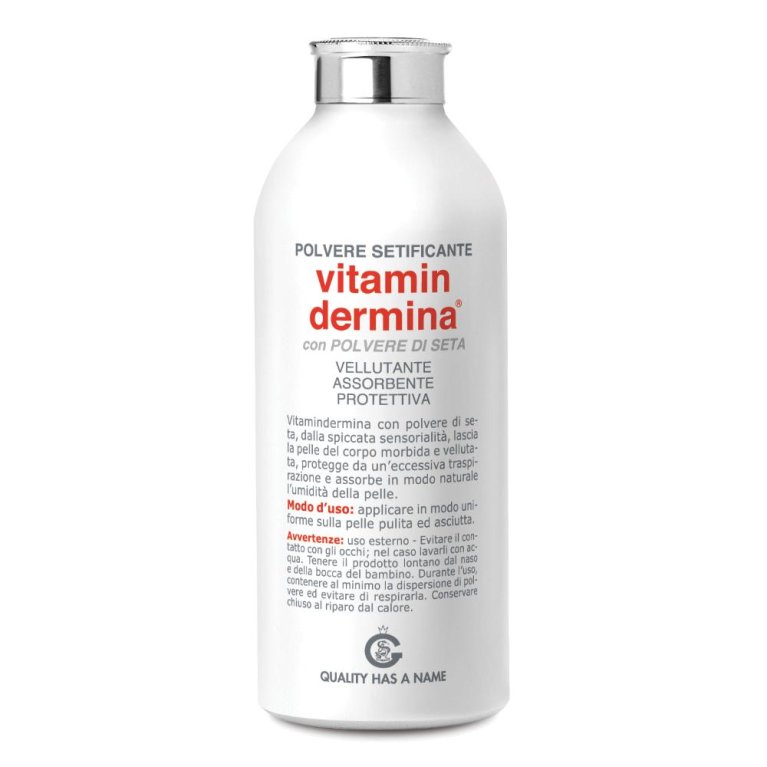 VITAMINDERMINA POLV SETA 100G VITAMINDERMINA POLV SETA 100G