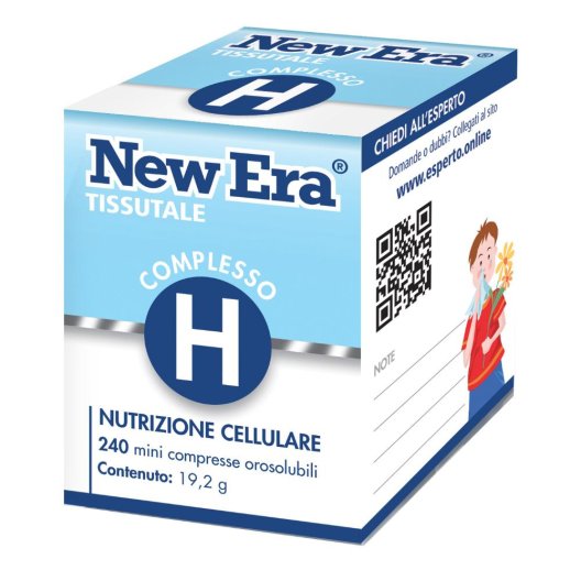 NEW ERA H 240GR NEW ERA H 240GR