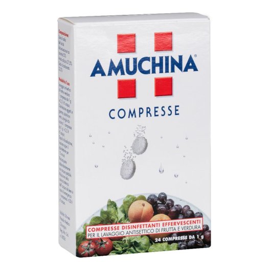 AMUCHINA COMPRESSE 1G 24PZ AMUCHINA COMPRESSE 1G 24PZ