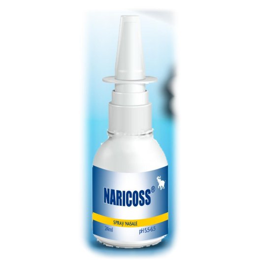 NARICOSS SPRAY NASALE 24ML NARICOSS SPRAY NASALE 24ML