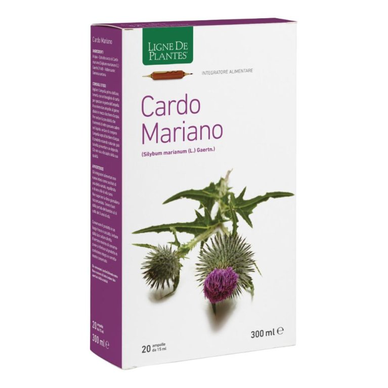 CARDO MARIANO 20AB 15ML CARDO MARIANO 20AB 15ML