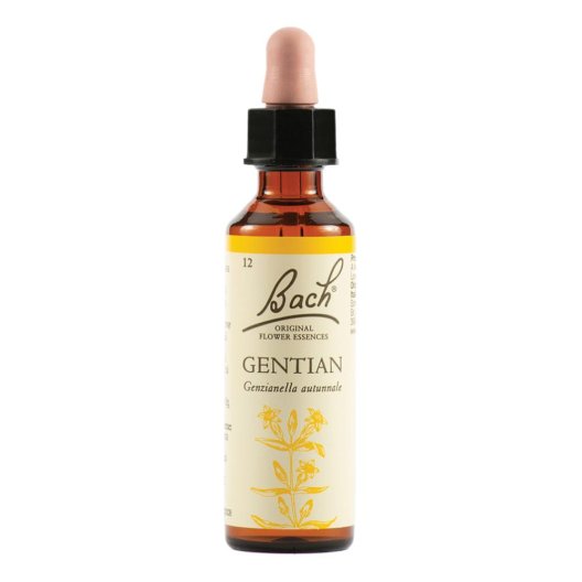 Gentian - Fiore di Bach Originale n° 12 - 20 ml
