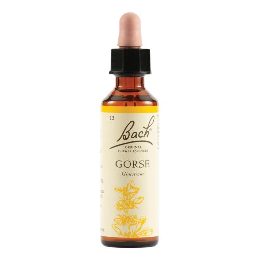 Gorse - Fiore di Bach Originale n°13 - 20 ml