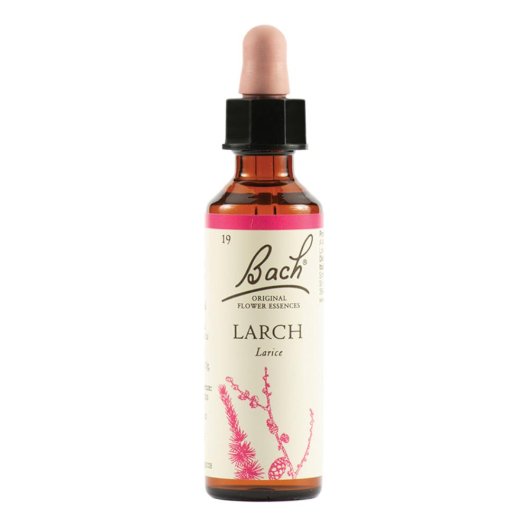 Larch - Fiore di Bach Originale n°19 - 20 ml