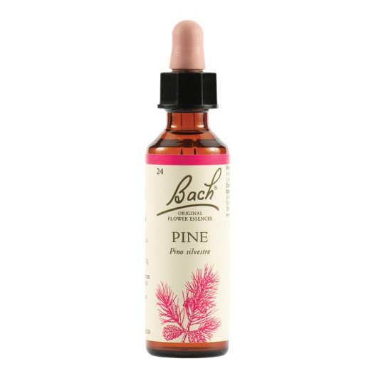 Pine - Fiore di Bach Originale n°24 - 20 ml Pine - Fiore di Bach Originale n°24 - 20 ml