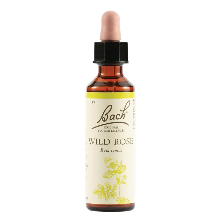 Wild Rose - Fiore di Bach Originale n°37 - 20 ml Wild Rose - Fiore di Bach Originale n°37 - 20 ml