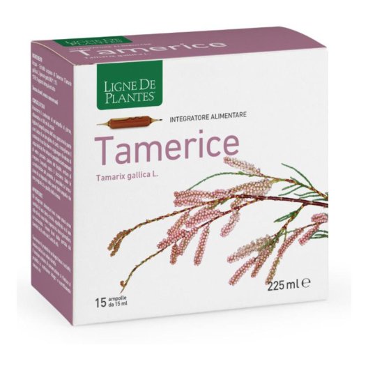 TAMERICE 15AMP 15ML TAMERICE 15AMP 15ML