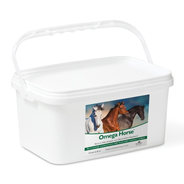 OMEGA HORSE 60BUST OMEGA HORSE 60BUST