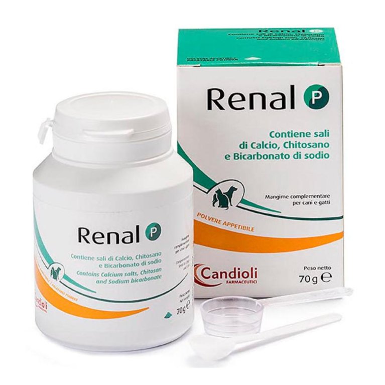 Renal P polvere 70 grammi