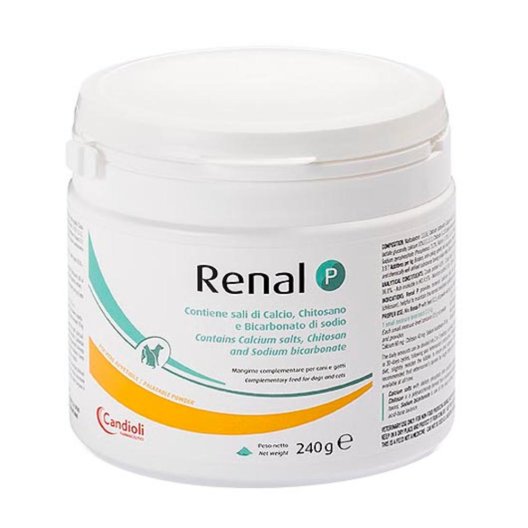 Renal P polvere 240 grammi Renal P polvere 240 grammi