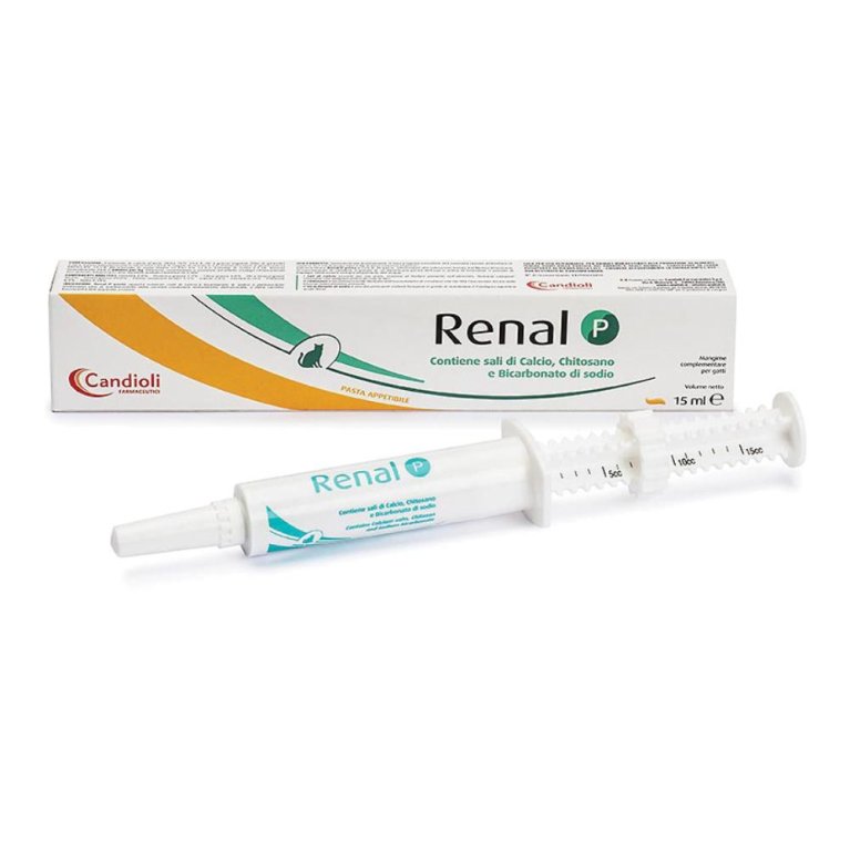 Renal P pasta per gatti in siringa da 15 ml Renal P pasta per gatti in siringa da 15 ml