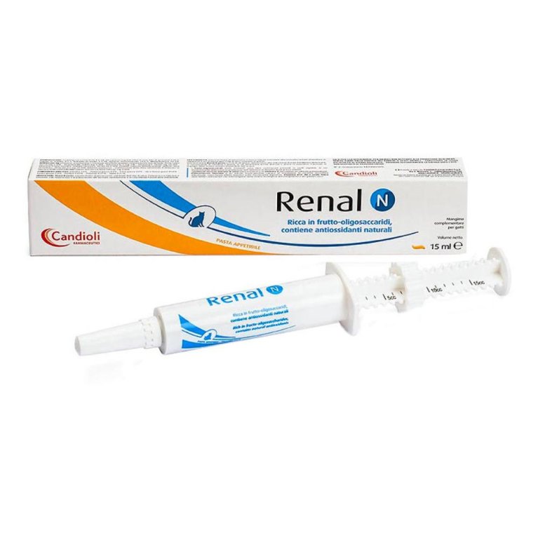 Renal N pasta 15 ml