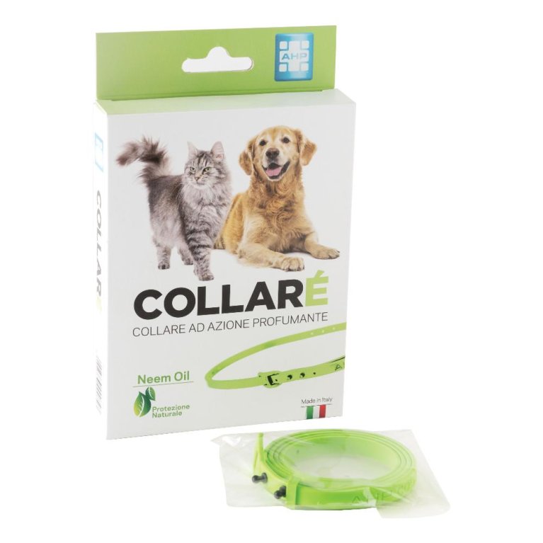 COLLARE' COLLARE AZ PROF VERDE COLLARE' COLLARE AZ PROF VERDE