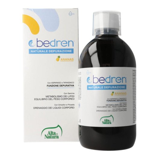 BEDREN ANANAS 500ML BEDREN ANANAS 500ML