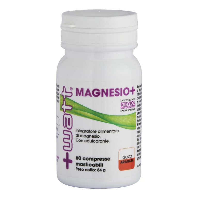 MAGNESIO+ 60CPR MAGNESIO+ 60CPR