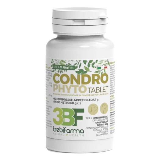 CONDROPHYTO 60CPR 1G CONDROPHYTO 60CPR 1G