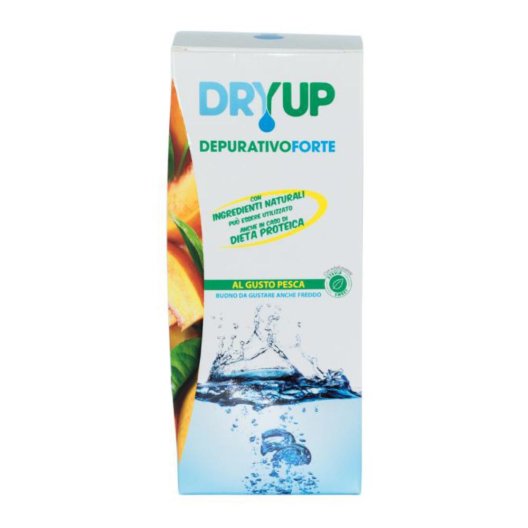 DRYUP DEPURATIVO FORTE 300ML DRYUP DEPURATIVO FORTE 300ML