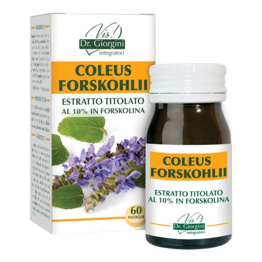 COLEUS FOR ESTR TIT 60PAST COLEUS FOR ESTR TIT 60PAST