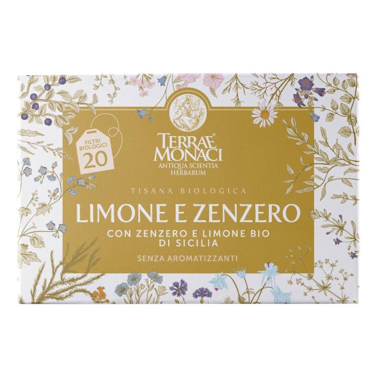 TISANA LIMONE/ZENZERO BIO20FIL TISANA LIMONE/ZENZERO BIO20FIL