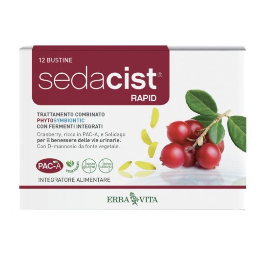 SEDACIST RAPID 6+6BUST SEDACIST RAPID 6+6BUST