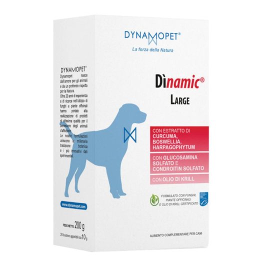 DINAMIC LARGE 20BUST 10G DINAMIC LARGE 20BUST 10G