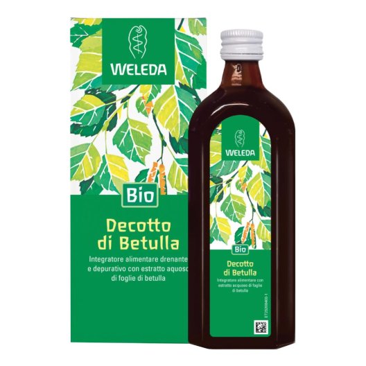 DECOTTO DI BETULLA 250ML DECOTTO DI BETULLA 250ML