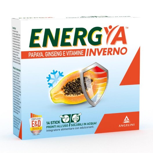 ENERGYA INVERNO 14BUST ENERGYA INVERNO 14BUST