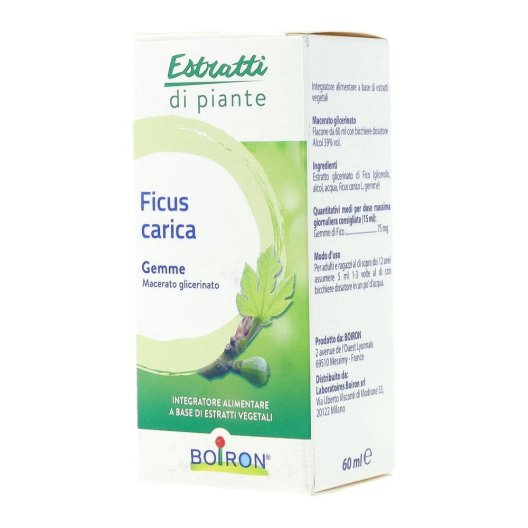 FICUS CARICA BOI MG 60ML INT FICUS CARICA BOI MG 60ML INT