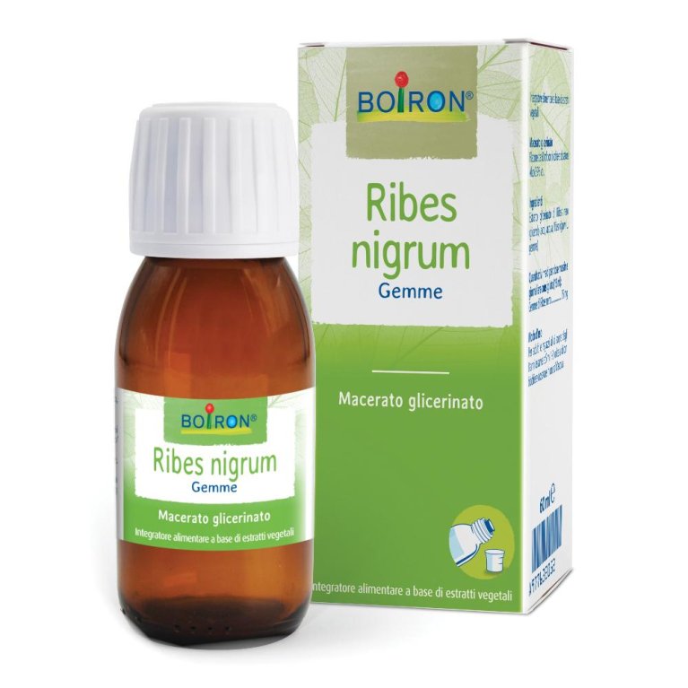 RIBES NIGRUM BOI MG 60ML INT RIBES NIGRUM BOI MG 60ML INT