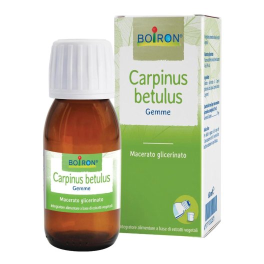 CARPINUS BETULUS MG 60ML INT CARPINUS BETULUS MG 60ML INT