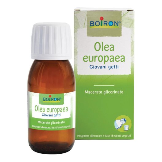 OLEA EUROPAEA MG 60ML INT OLEA EUROPAEA MG 60ML INT