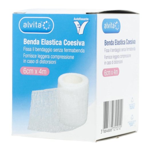ALVITA BENDA ELASTICA COES 6X4 ALVITA BENDA ELASTICA COES 6X4