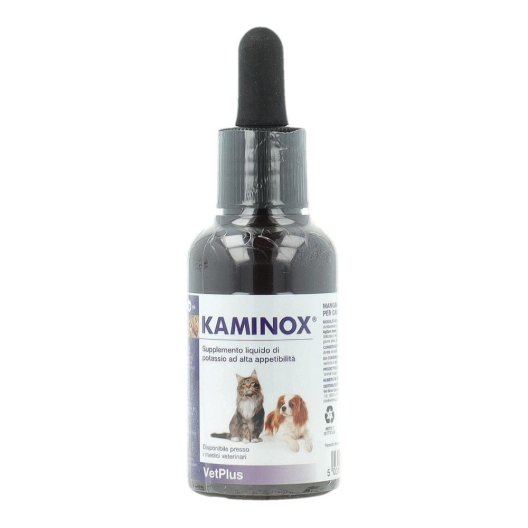 KAMINOX SCIROPPO 60 ML