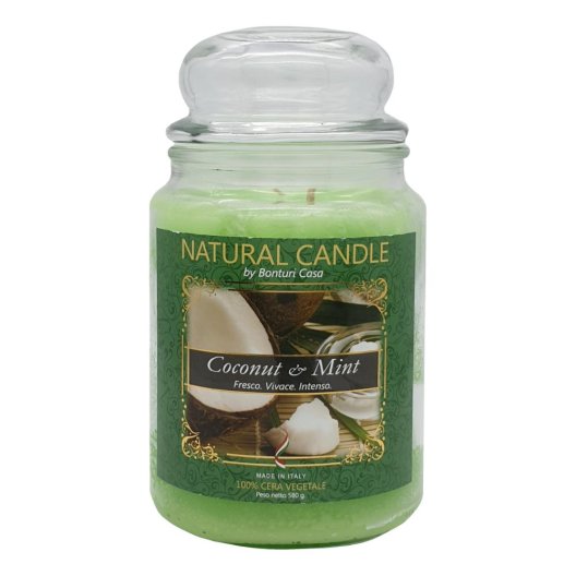 CANDELA NATURE 580 COCONUTMINT CANDELA NATURE 580 COCONUTMINT