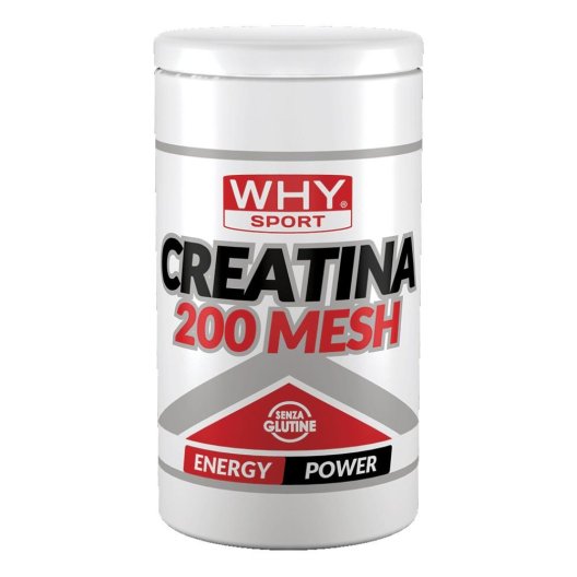 WHYSPORT CREATINA 200 MESH500G WHYSPORT CREATINA 200 MESH500G