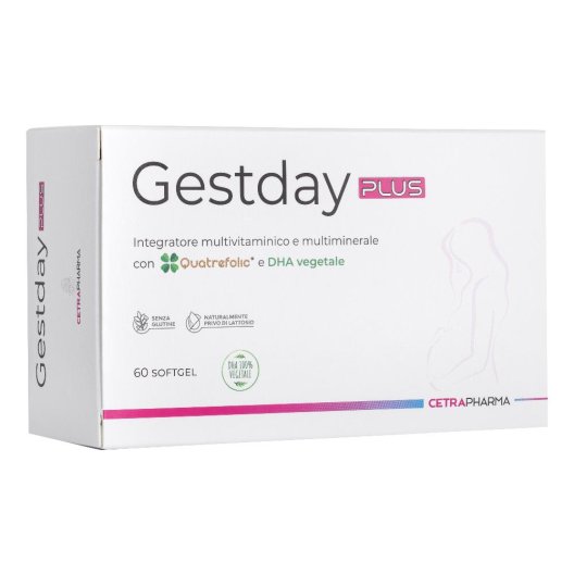 GESTDAY PLUS 60PRL GESTDAY PLUS 60PRL