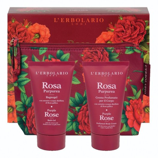 ROSA PURPUREA BEAUTY FAVOLOSA