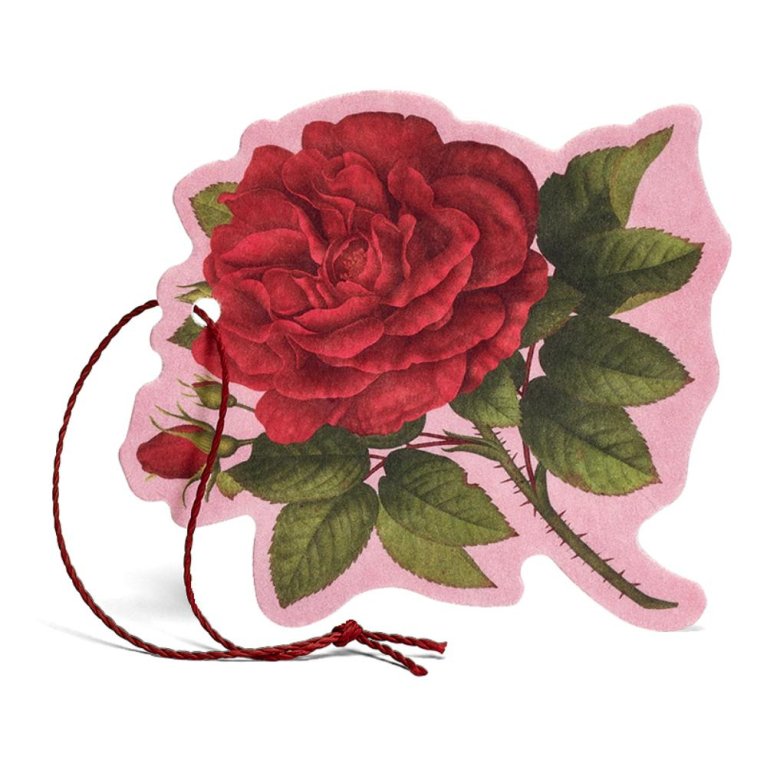 ROSA PURPUREA FIORE PROF M/USO ROSA PURPUREA FIORE PROF M/USO