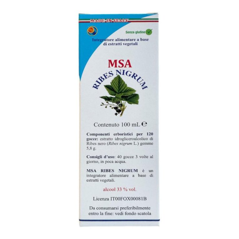 MSA RIBES NIGRUM 100ML MSA RIBES NIGRUM 100ML