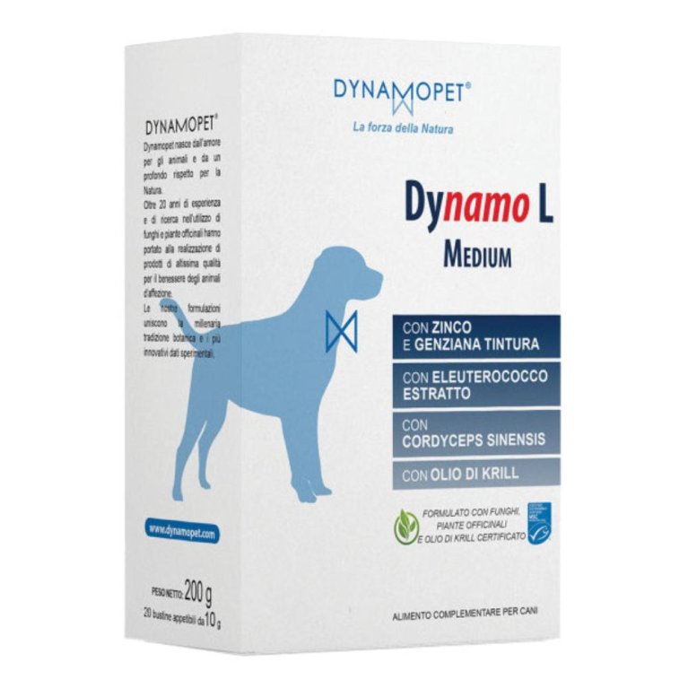 DYNAMO L MEDIUM 20BUST 10G DYNAMO L MEDIUM 20BUST 10G