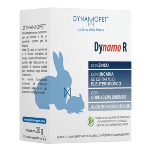 DYNAMO R 20BUST 2G DYNAMO R 20BUST 2G