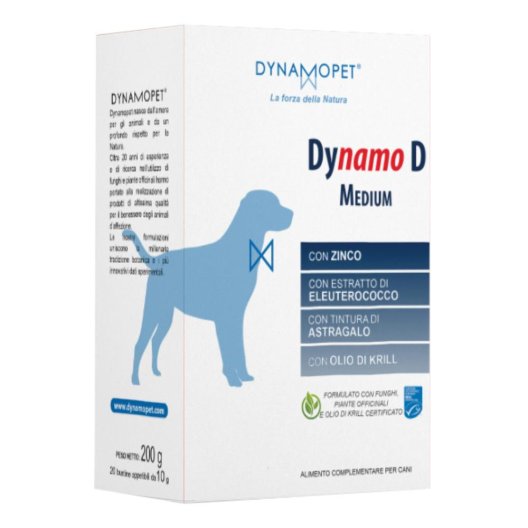 DYNAMO D MEDIUM 20BUST DYNAMO D MEDIUM 20BUST