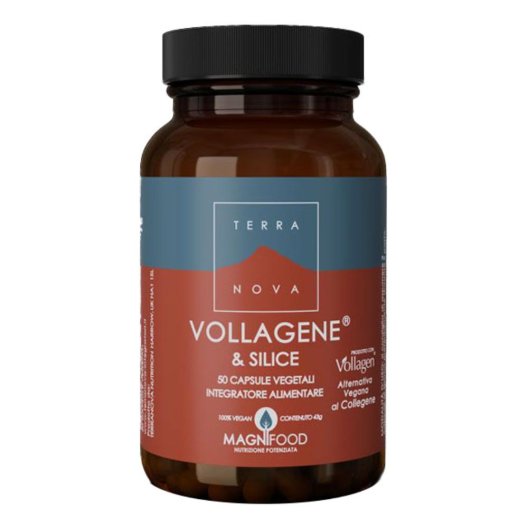 TERRANOVA VOLLAGENE&SILIC50CPS TERRANOVA VOLLAGENE&SILIC50CPS